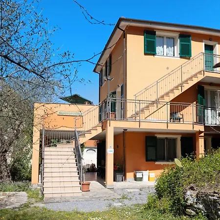 Ferla La Taggiasca *