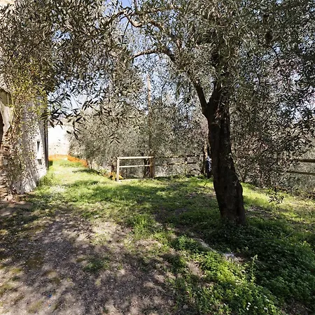 Ferla La Taggiasca Apartment